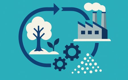 The Science of Circularity: Sustainable Systems in the Wake of Entropy