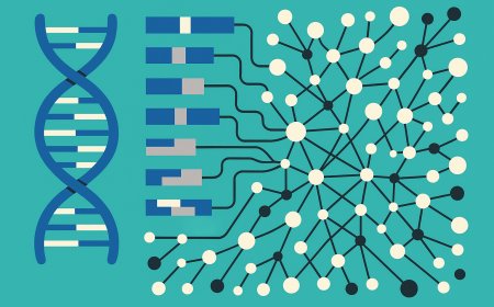 Exploring the Genomic Interplay: Advances in RNA-Seq Analysis