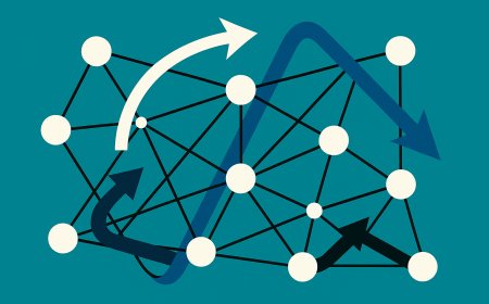 Causality and Bias in Network Theory: A Methodological Examination