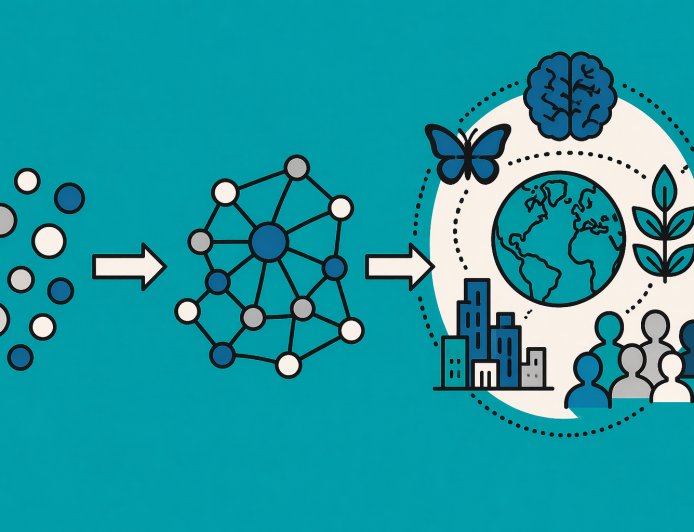 Exploring the Depths of Emergent Phenomena in Complex Systems