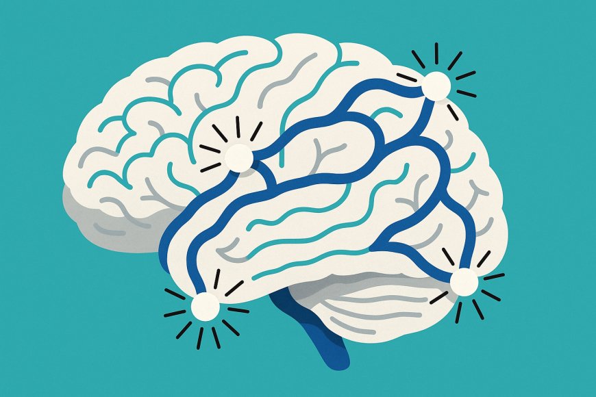 Neuroplasticity and the Adaptive Brain: Exploring the Limits of Cognitive Flexibility