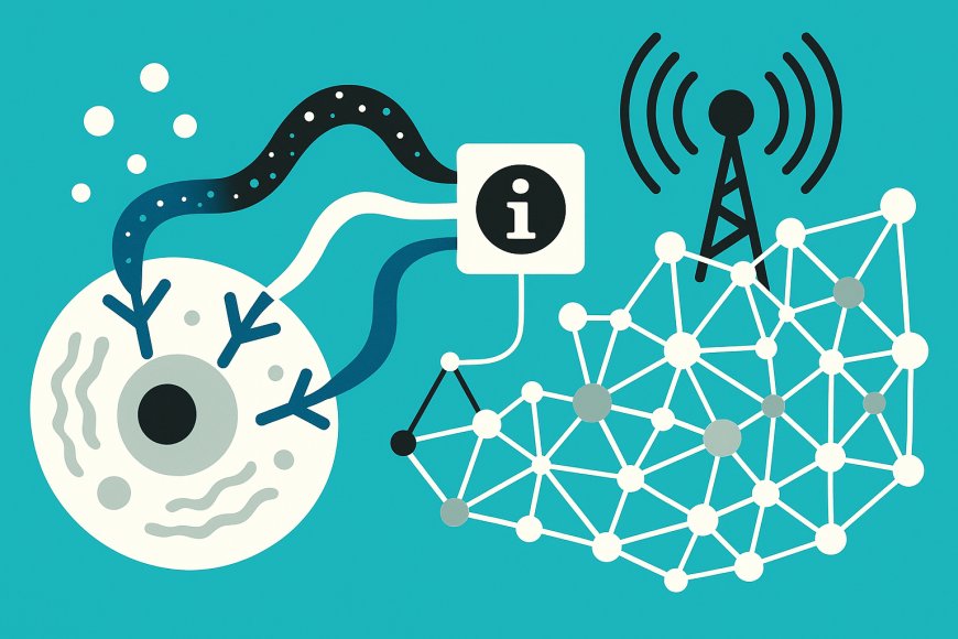 Entropy in Biological Networks: Information Theory’s Insights into Cellular Communication